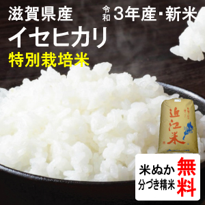 滋賀県近江八幡市産　特別栽培米イセヒカリ（1等玄米）