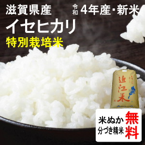 滋賀県近江八幡市産　特別栽培米イセヒカリ（2等玄米）