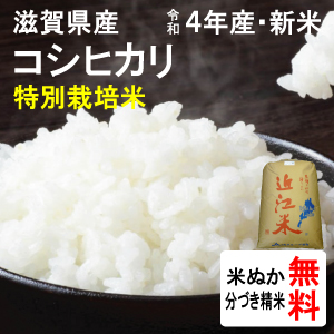 滋賀県東近江市山上町産　特別栽培米コシヒカリ（1等玄米）