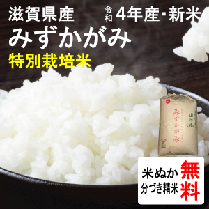 滋賀県産　特別栽培米みずかがみ（1等玄米）