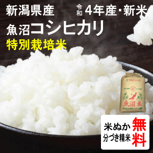 新潟県魚沼産　特別栽培米コシヒカリ（1等玄米）